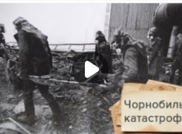 изображение Viber 2025 04 28 09 42 10 665
