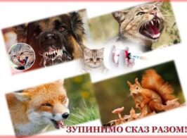 сказ